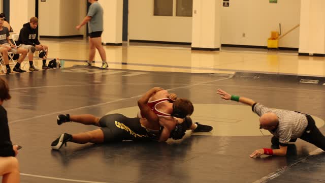 Mark Hall vs. Tigers