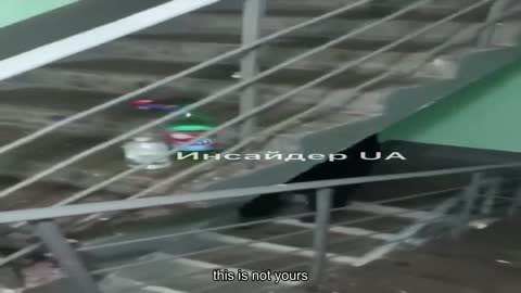 Cheapest and best way to stay alive in Ukraine