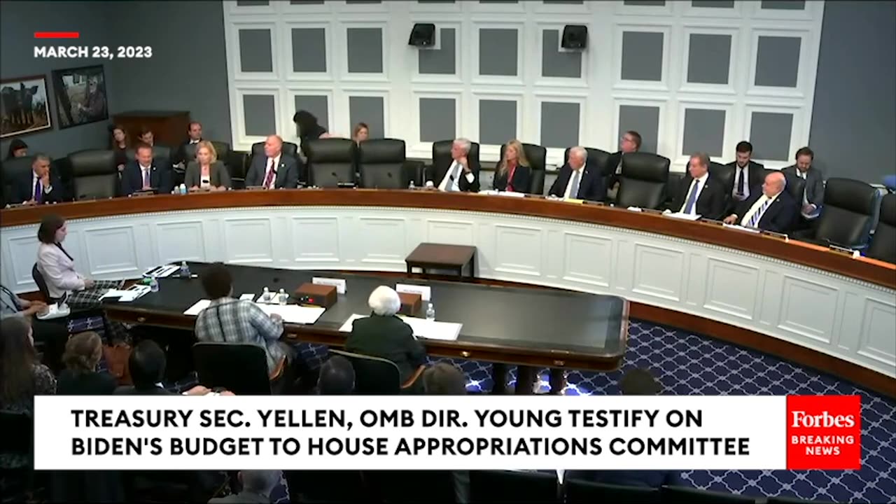 'I'm Not Sure Exactly What It Is You're Driving At'- Michael Cloud Grills Yellen On Foreign Policy