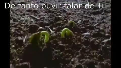 O MUNDO NUNCA ENTENDERÁ