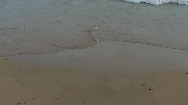 Lake Michigan erosion