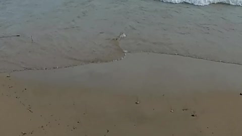 Lake Michigan erosion