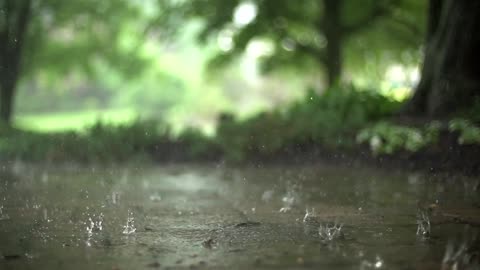 (Slom motion).rain stock footage. (Beautiful natural)