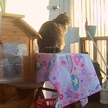 EA S96 - Scanning for Headhunters