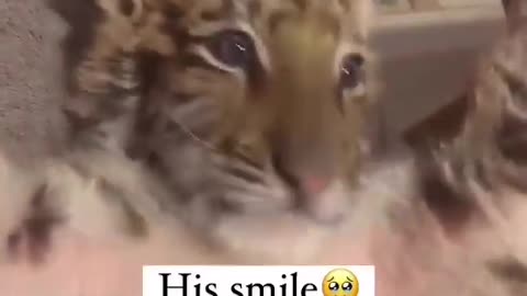 His Smile!
