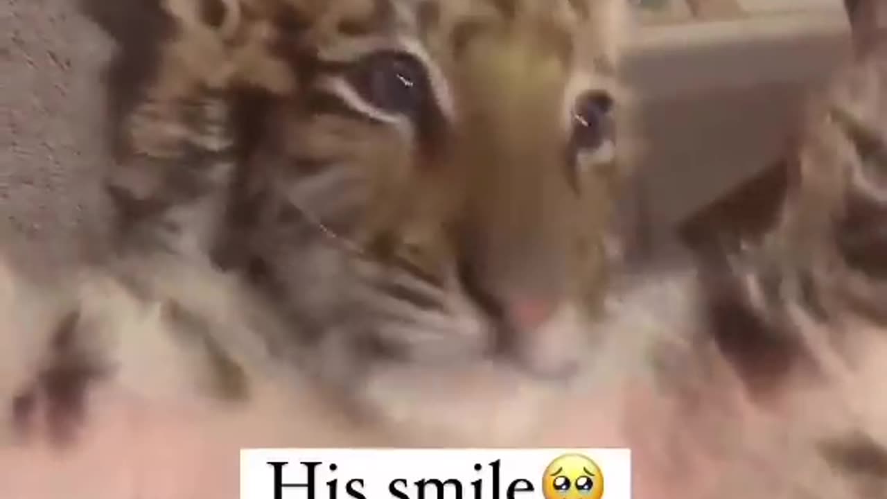His Smile!
