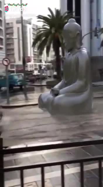 Buddha Has Had Enough Of This Earth