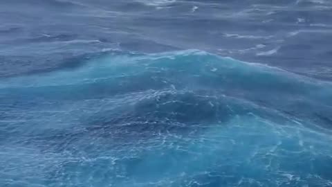 Sea ocean video