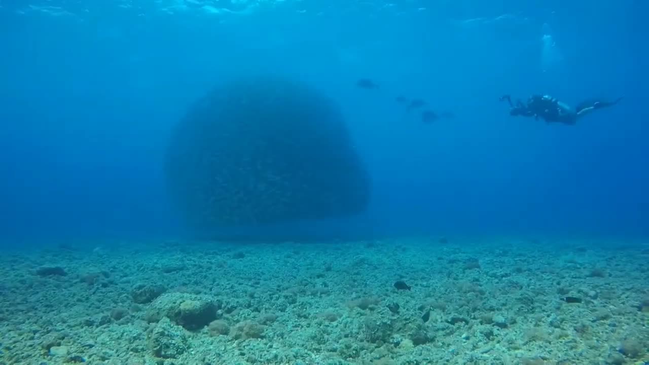 Exploring the Depths: Scuba Diver's Journey to the deep