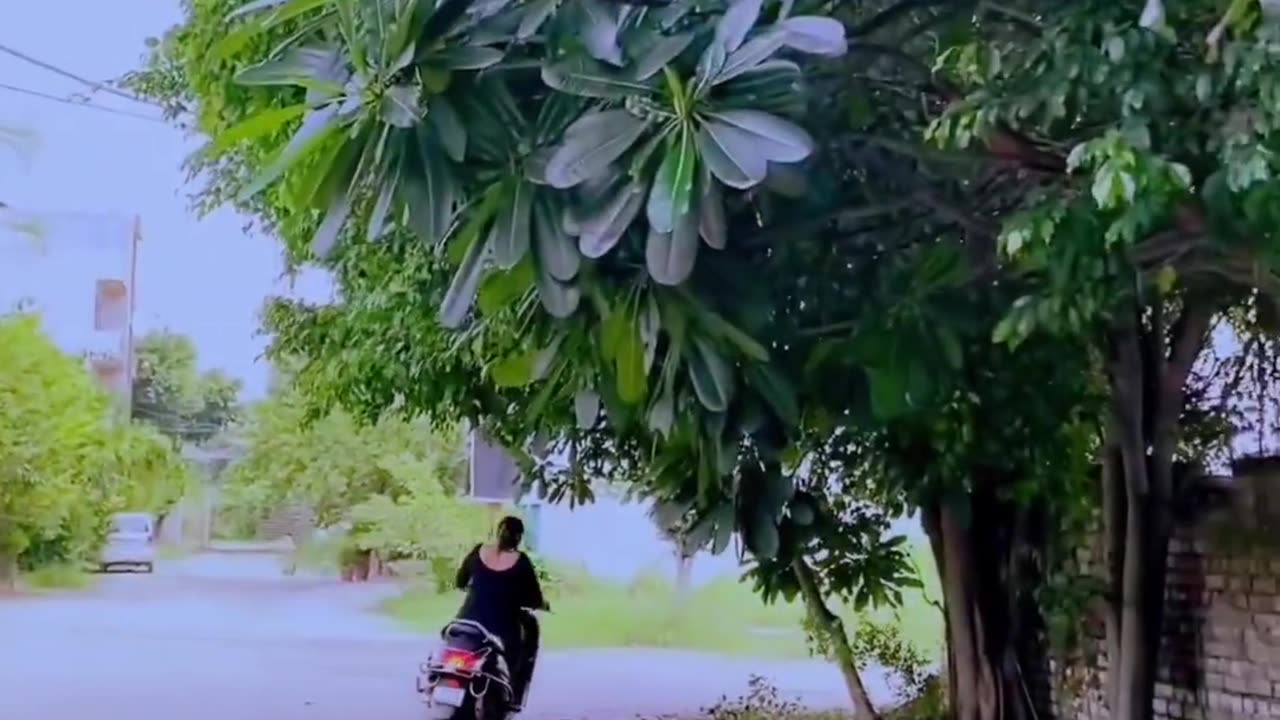 Comedy 🤣