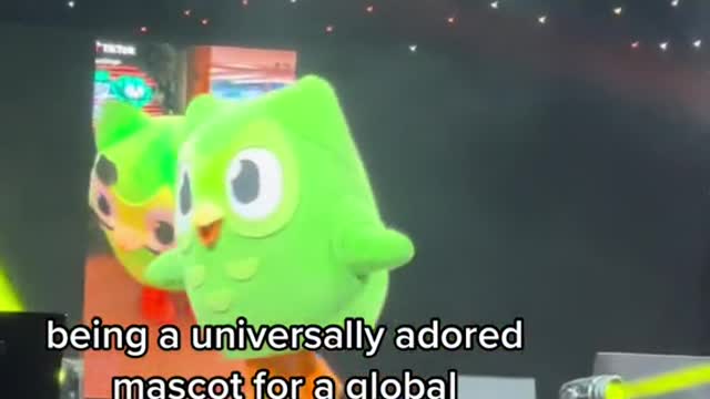 being a universally adored mascot for a global education brand