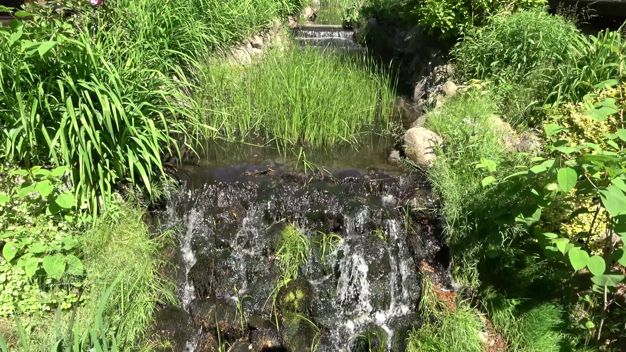 Relax and Unwind with the Sound of Water: Improve Sleep with Natural White Noise