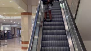 Bio the Giant Cane Corso Dog Doesn't Like Escalators