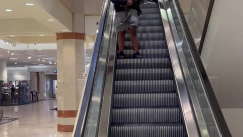 Bio the Giant Cane Corso Dog Doesn't Like Escalators