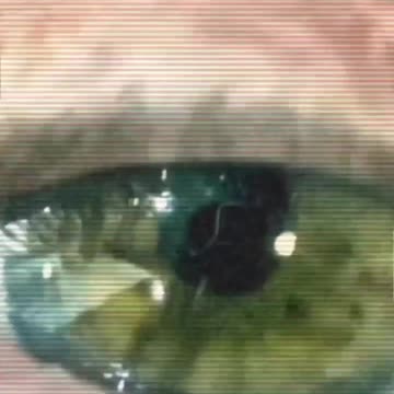 Sunlight and Genetic Code