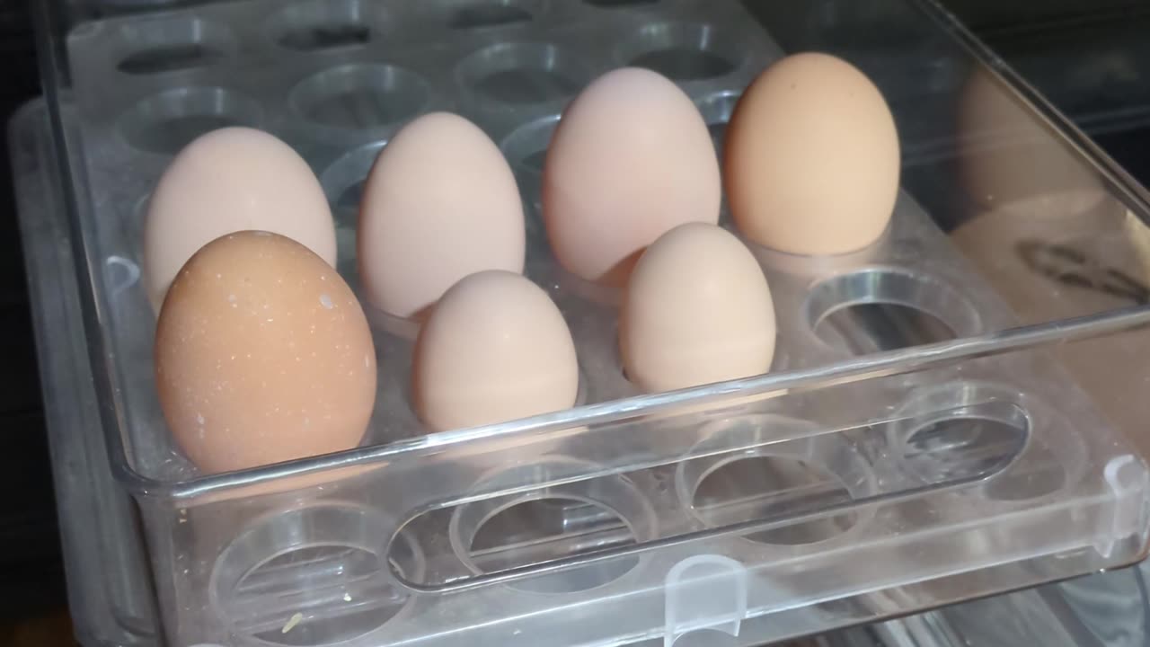 Cannon Farm - New Chicken Eggs #chicken #farm #homestead #homesteading #egg #eggs