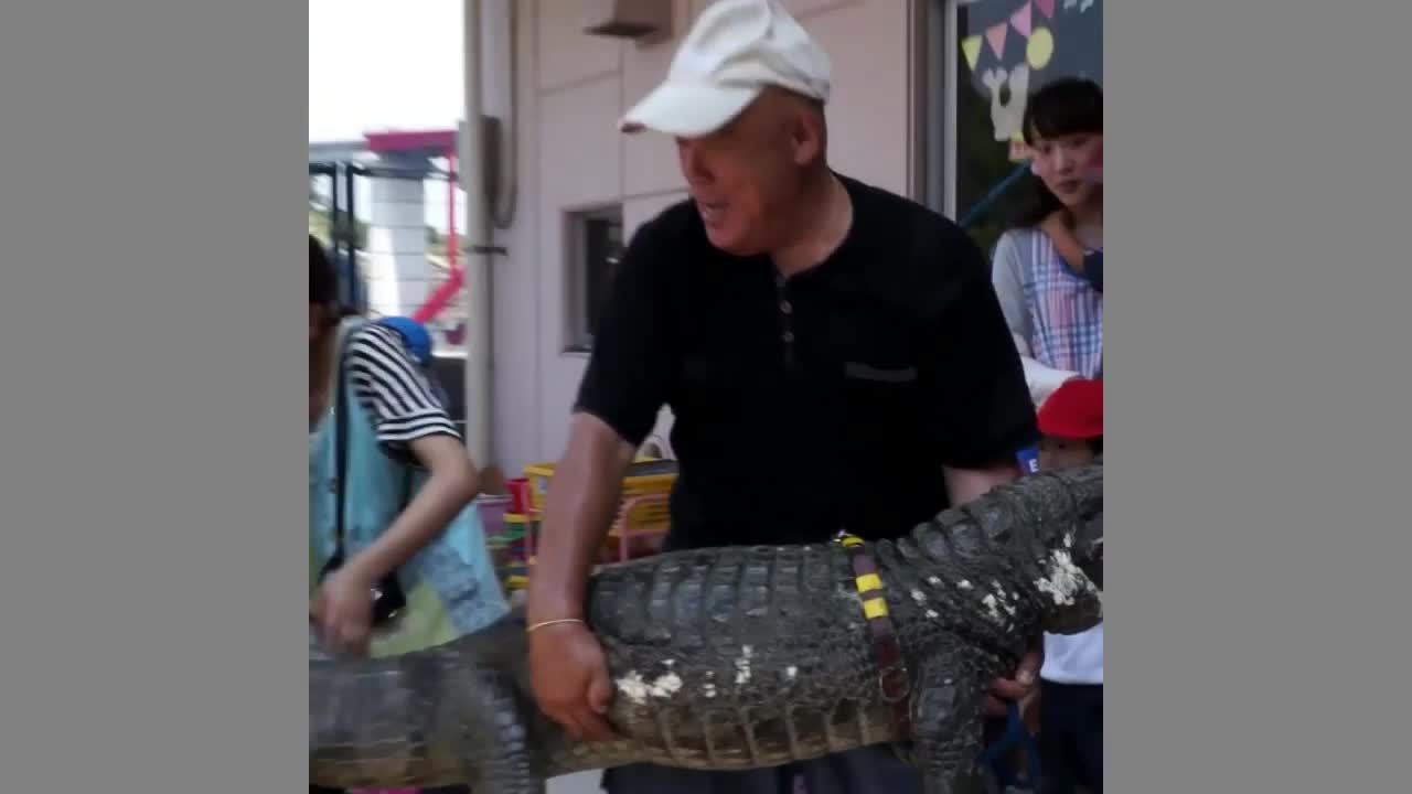 MOST DANGEROUS ANIMALS KEPT AS PETS