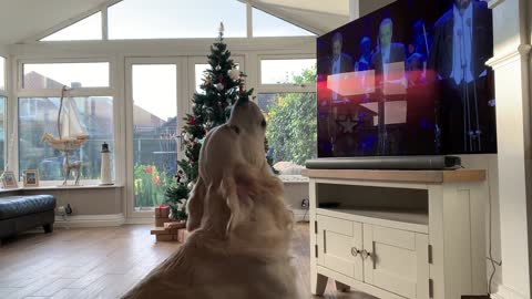 Dog Singing Christmas Songs
