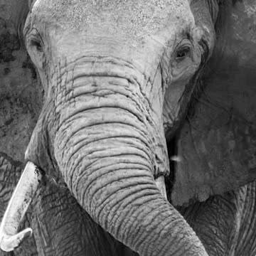 AROUND THE WORLD IN 15 SECONDS #Shorts