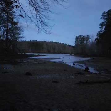 State park birds and trains