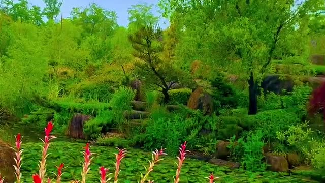 flowers on the edge of the