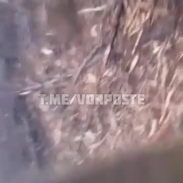 Ukraine War - Dragging the wounded