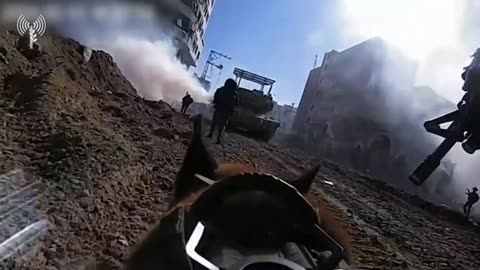 Incredible Footage from an IDF Service Dog