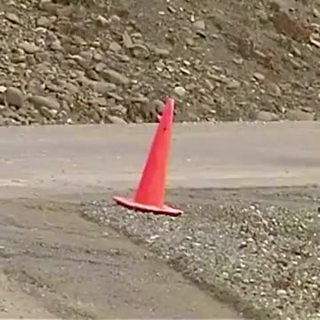 Responsible bear picks up fallen traffic cone
