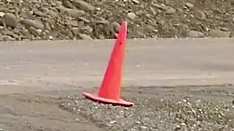 Responsible bear picks up fallen traffic cone