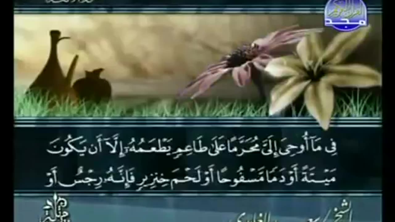 complete Quran Arabic Juz' 8 Shaikh Saad Al Ghamdi