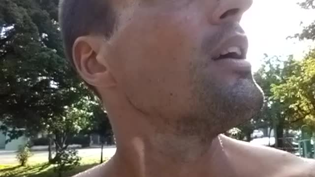 3 PIGEONS for GOD FOOD.