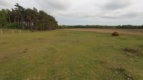 Orientating myself to the area . Using the map and compass