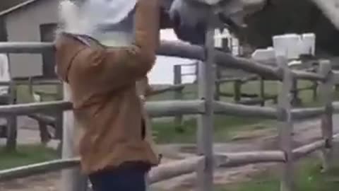 Real Trust