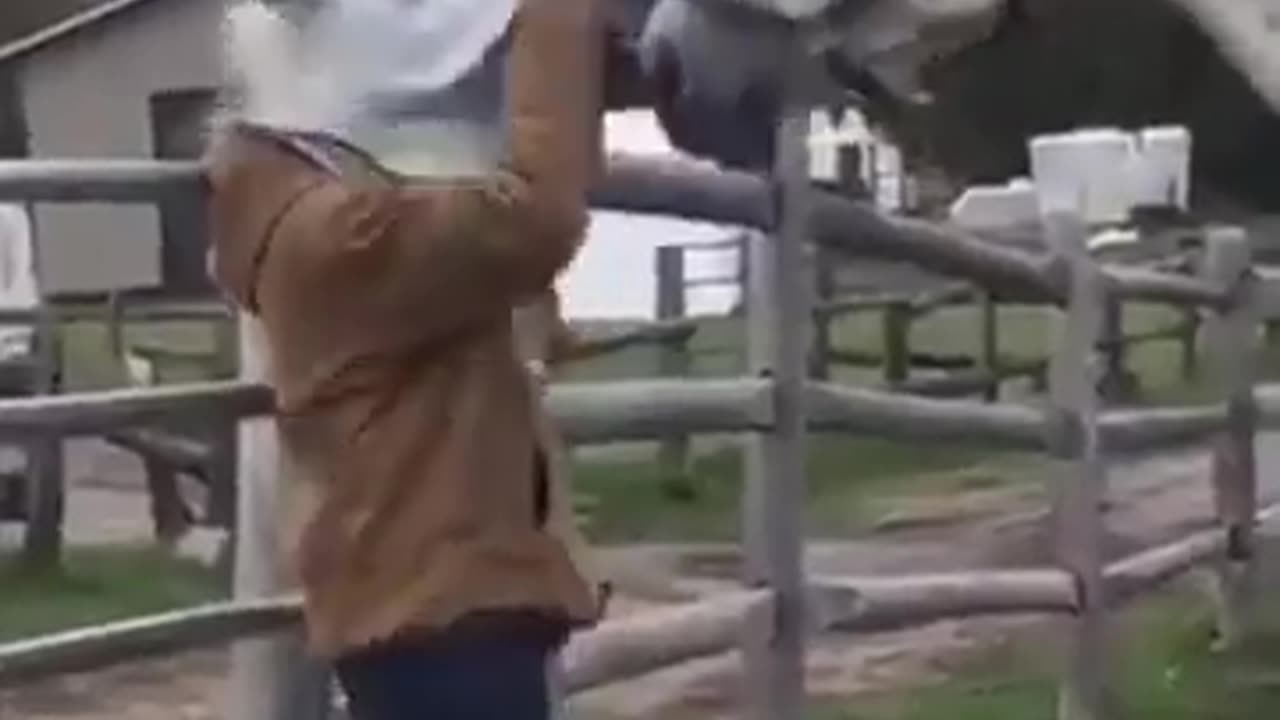 Real Trust