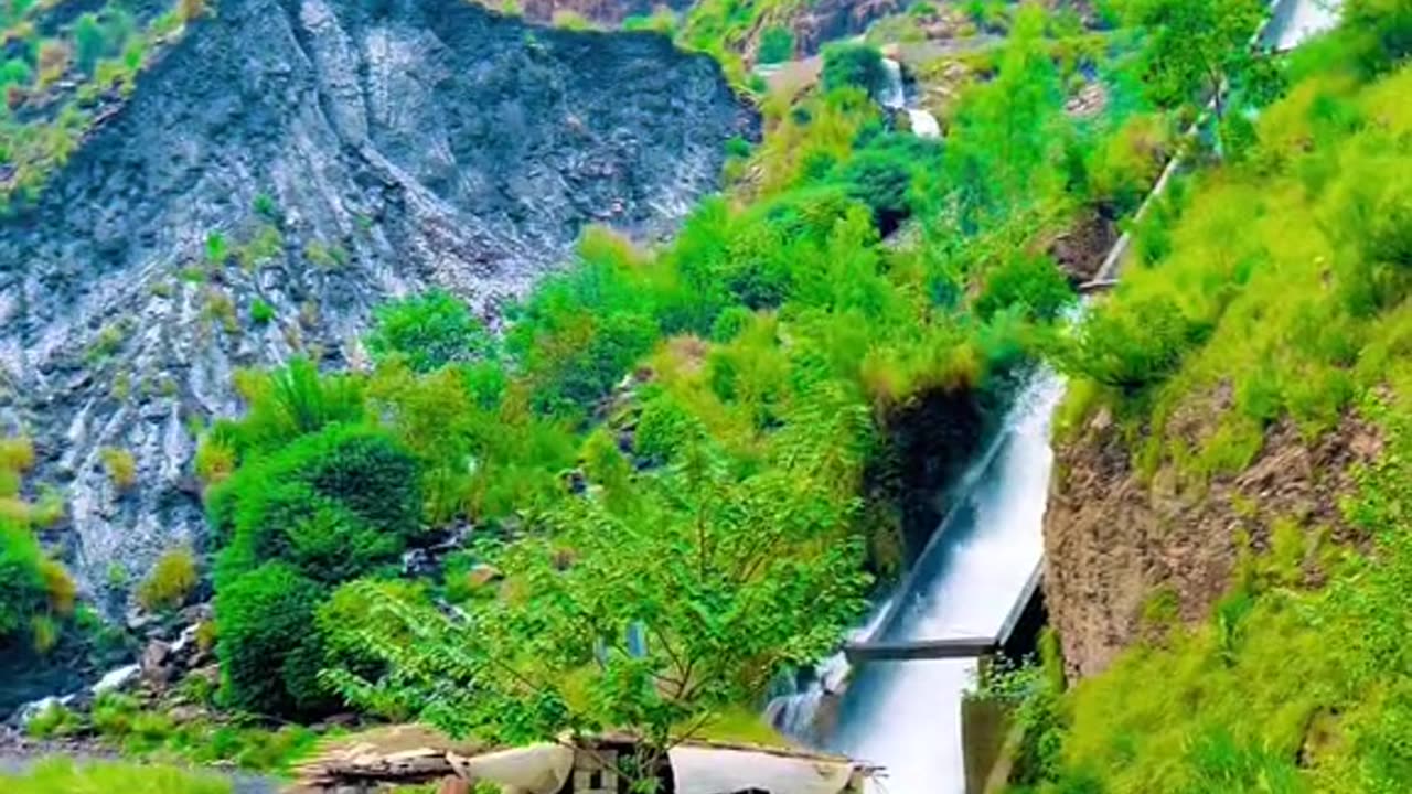 Beauty's of nature 158