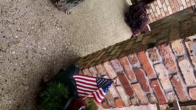 The Christmas Hammocks