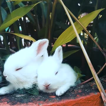 The brothers are having a snack