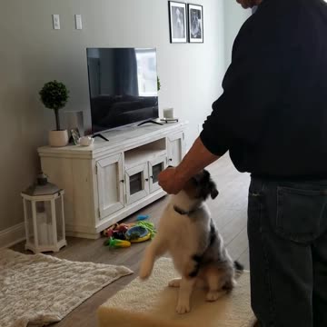Baxter shaping the Stay Cue