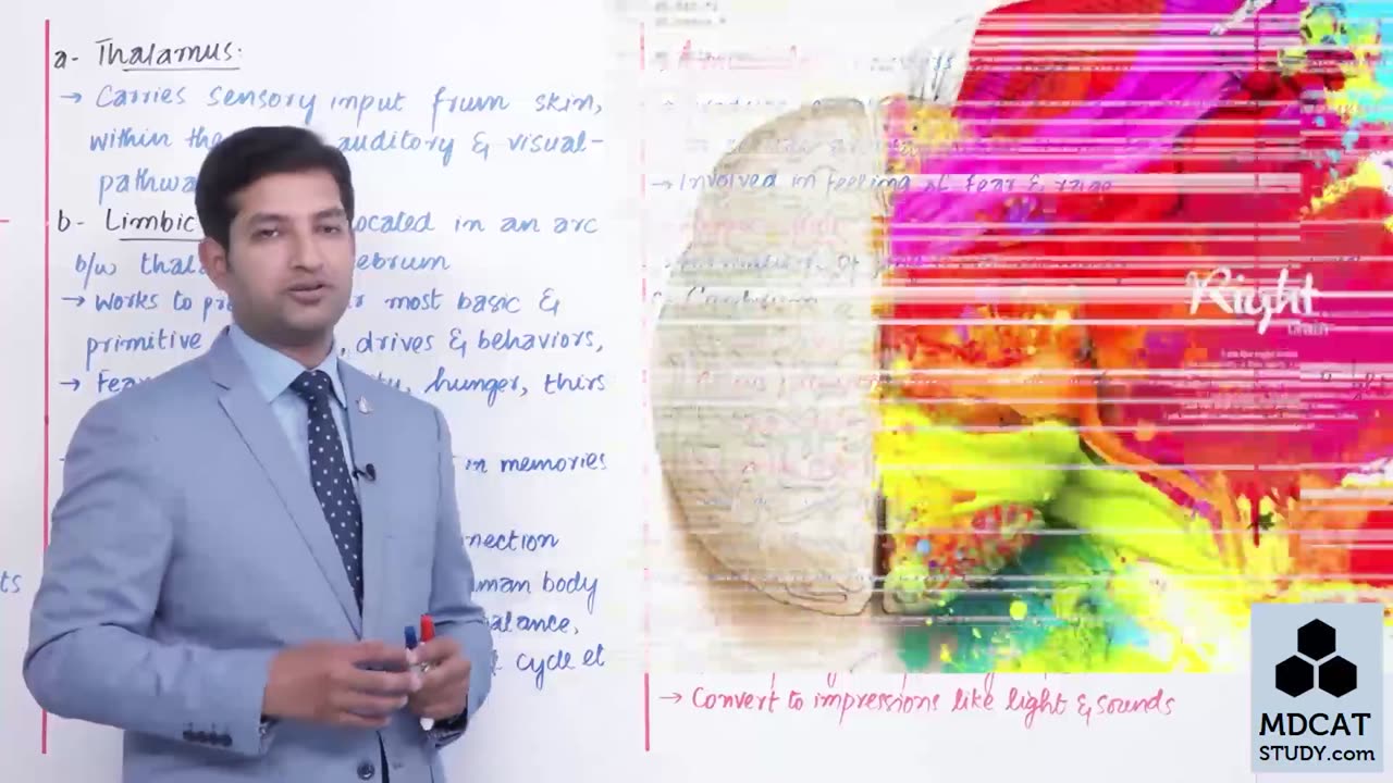 LEC#14 HUMAN NERVOUS SYSTEM (FOREBRAIN)