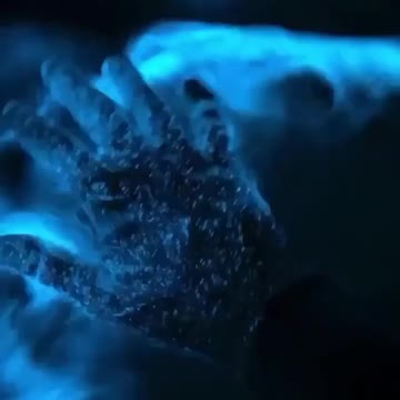 Bioluminescence beach in Jervis Bay, Australian Capital Territory, Australia