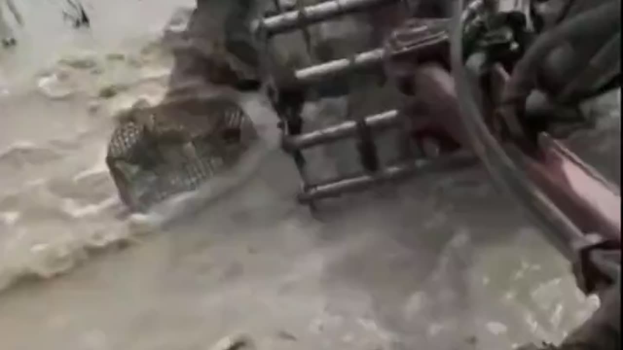 Farming in Louisiana is tough