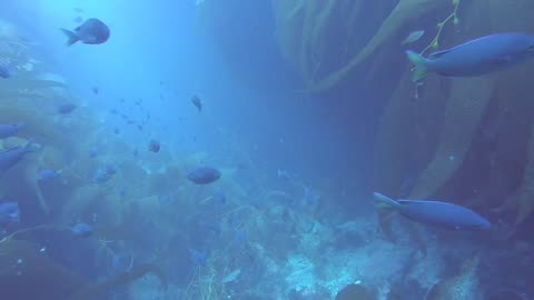 2023_08_04__Casino Point_01