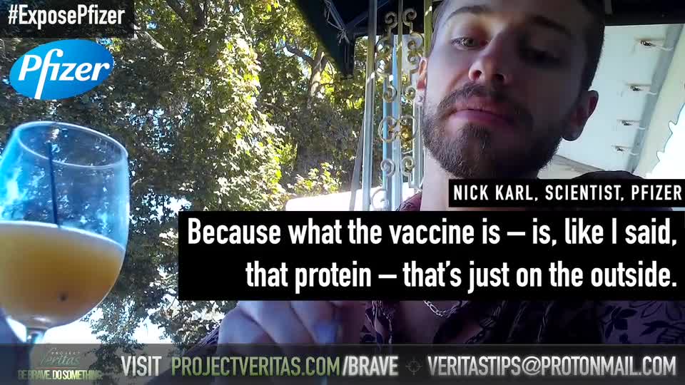Project_V_Undercover_Pfiz_exposed.