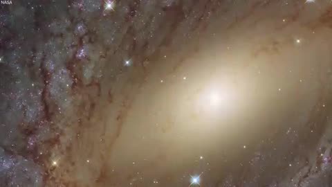 This will make you question your existence