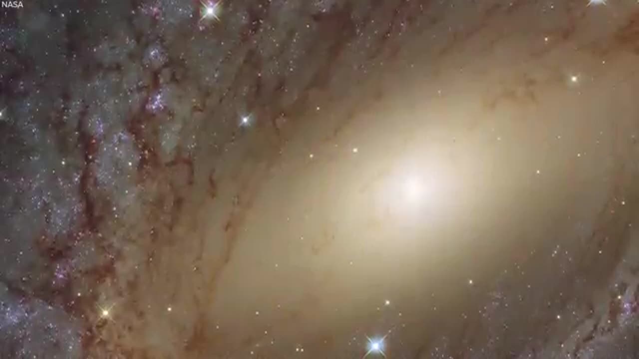 This will make you question your existence