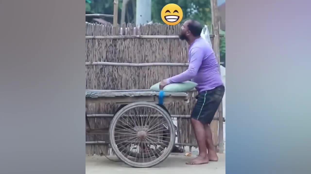 Funny videos, try not to laugh