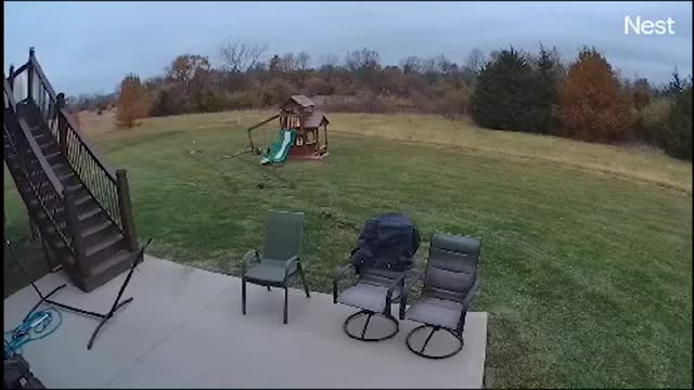 Security Camera Catches Police Chase Around House