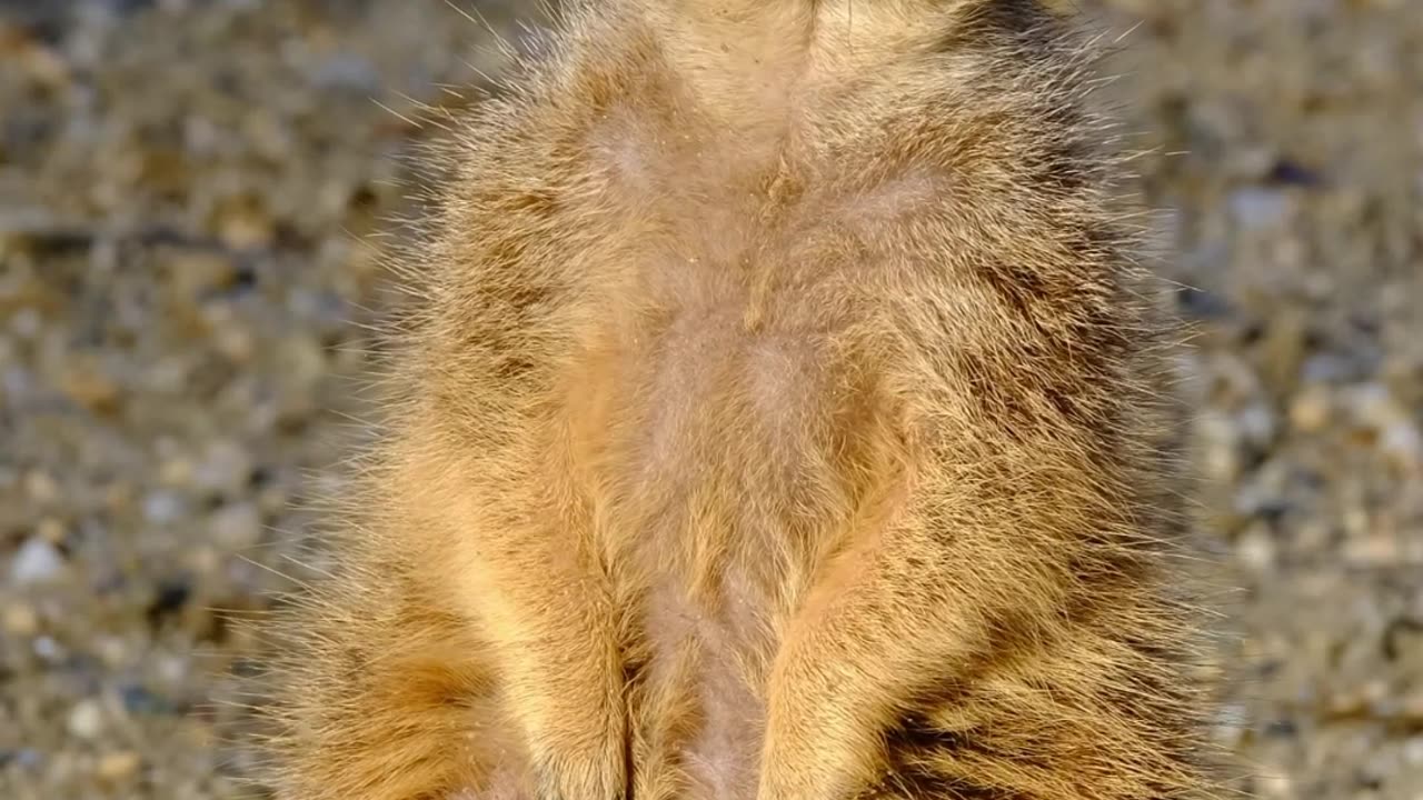 może mnie nie zobaczy