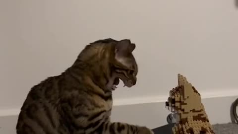 Come on don’t leave me hanging 🤣😂