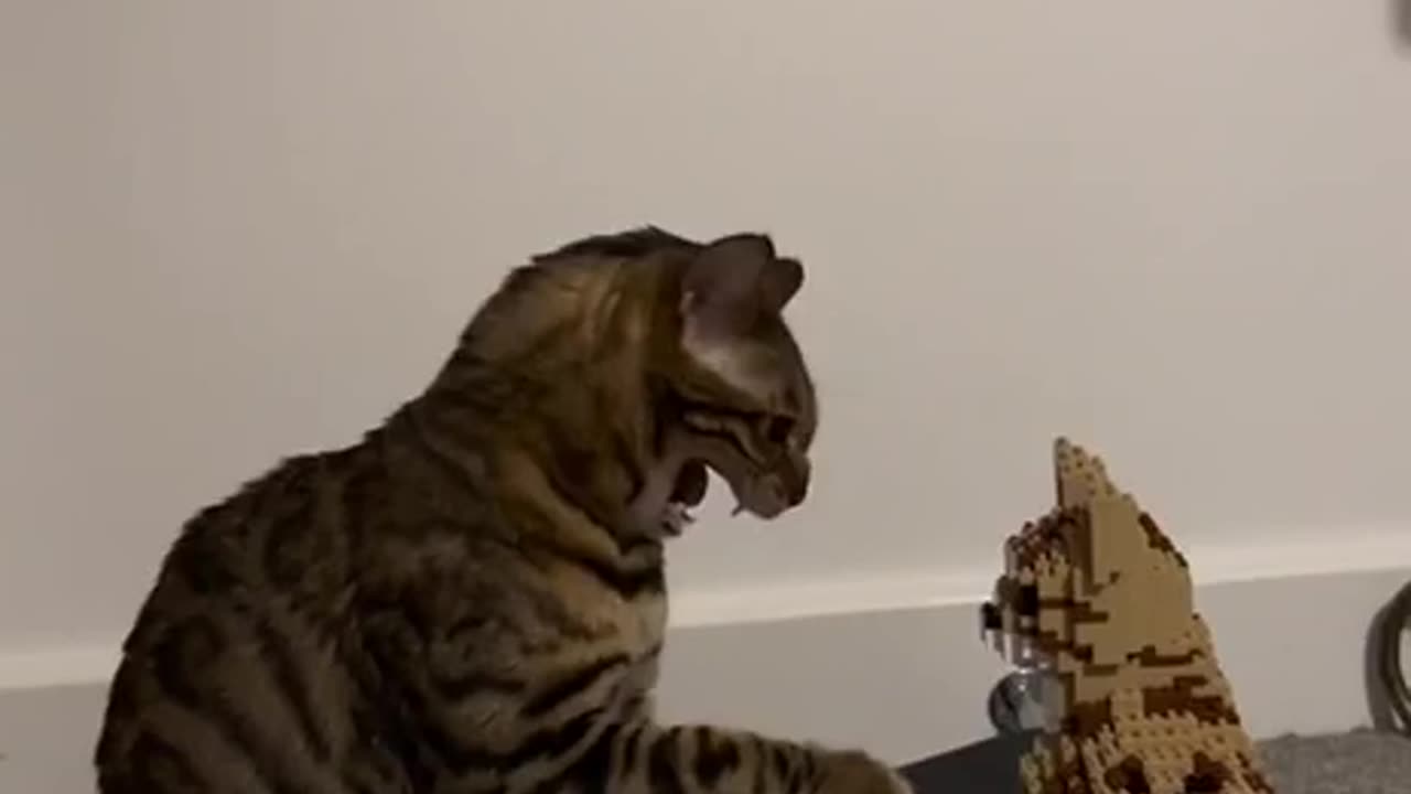 Come on don’t leave me hanging 🤣😂